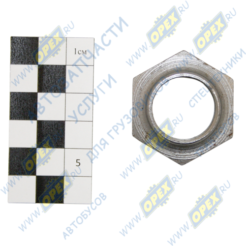 52-1802128 Гайка DIN6925 М24х2 h=13 К=36 с буртиком МТЗ РУП1